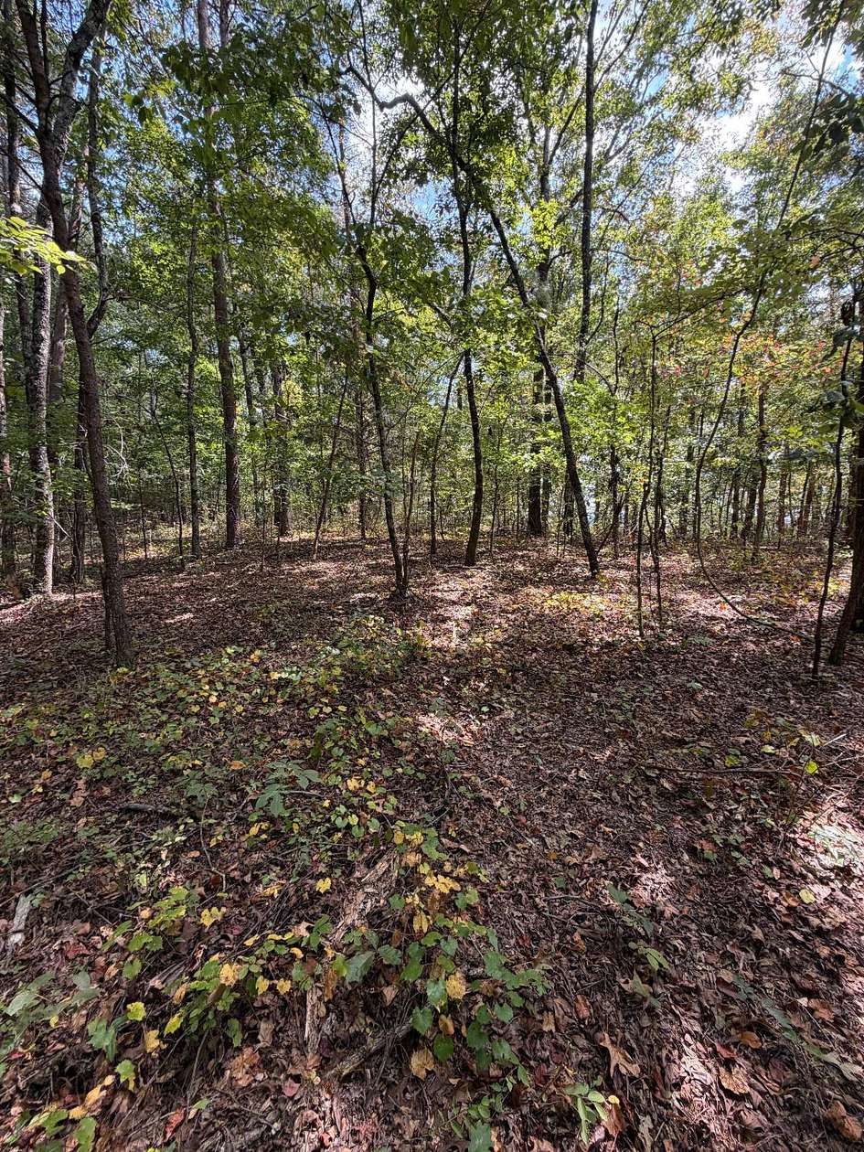 1.3 Acres of Residential Land for Sale in Adger, Alabama