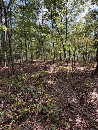 1.3 Acres of Residential Land for Sale in Adger, Alabama