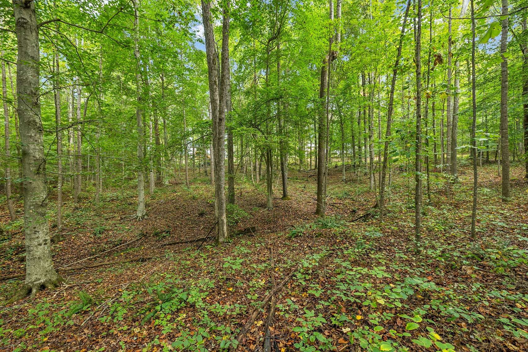 5.32 Acres of Residential Land for Sale in Bon Aqua, Tennessee