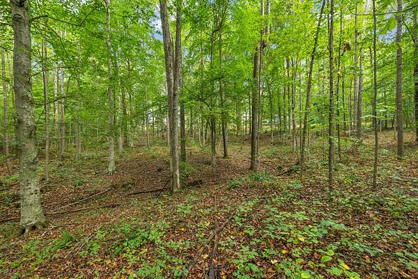5.32 Acres of Residential Land for Sale in Bon Aqua, Tennessee