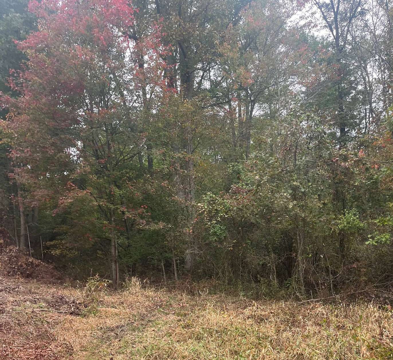 2.58 Acres of Residential Land for Sale in Jackson, Ohio