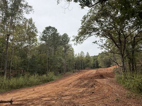 20.2 Acres of Recreational Land for Sale in Calhoun, Tennessee