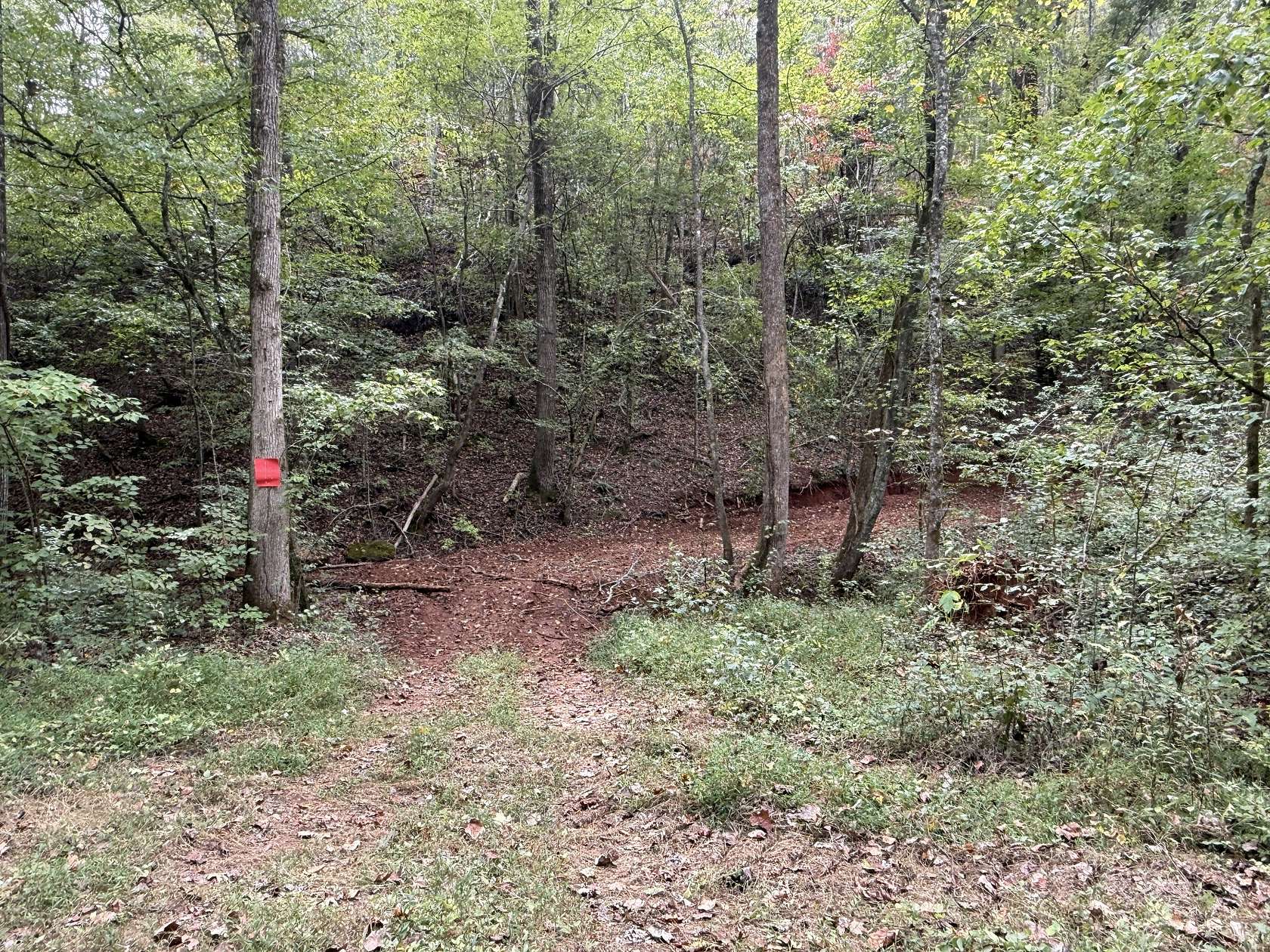 21.4 Acres of Recreational Land for Sale in Calhoun, Tennessee