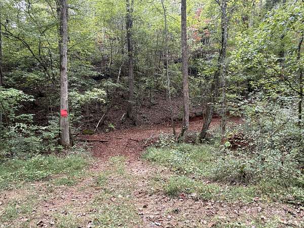 21.4 Acres of Recreational Land for Sale in Calhoun, Tennessee