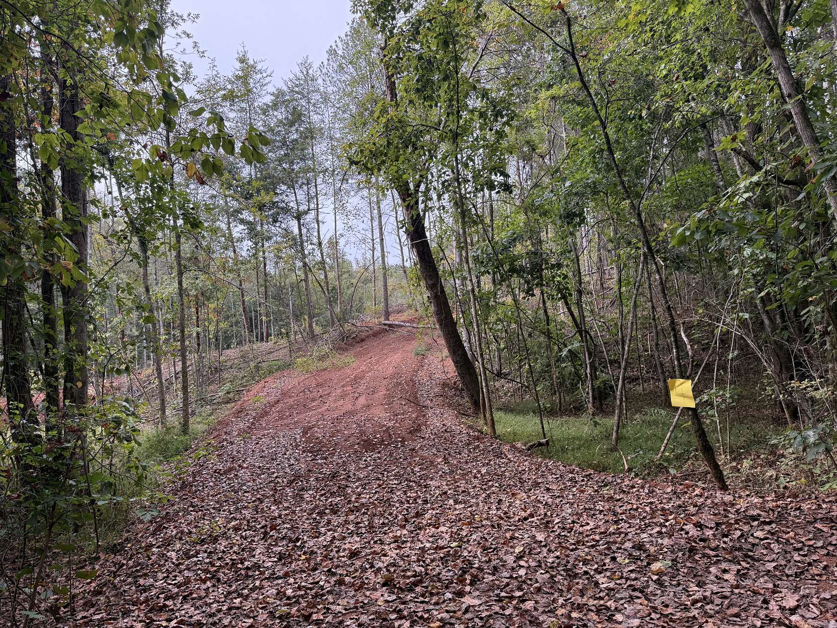 28.7 Acres of Recreational Land for Sale in Calhoun, Tennessee