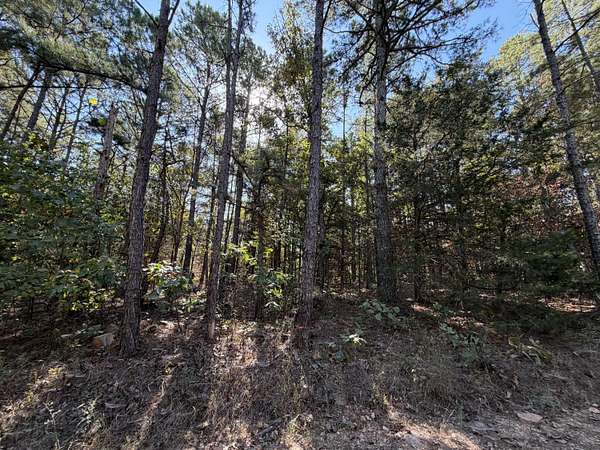 1.76 Acres of Residential Land for Sale in Licking, Missouri