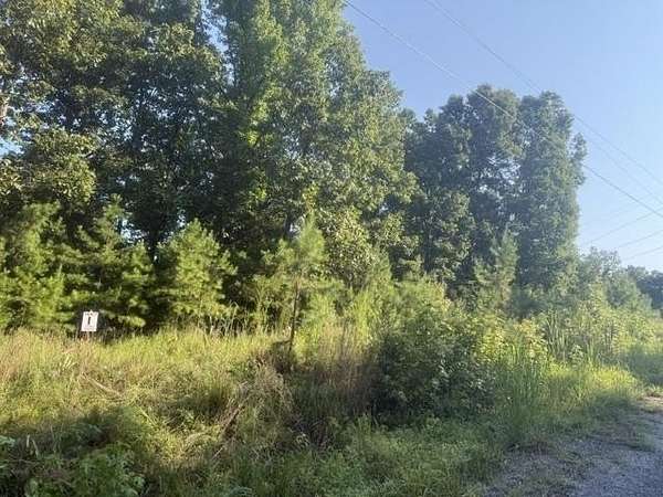 22.5 Acres of Recreational & Residential Land for Sale in Waynesboro, Tennessee