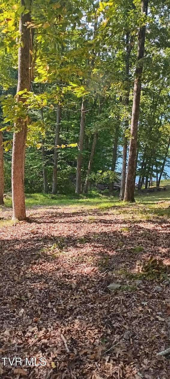 0.75 Acres of Residential Land for Sale in Mooresburg, Tennessee