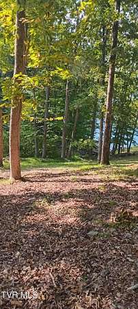 0.75 Acres of Residential Land for Sale in Mooresburg, Tennessee