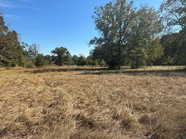 1 Acre of Residential Land for Sale in Many, Louisiana