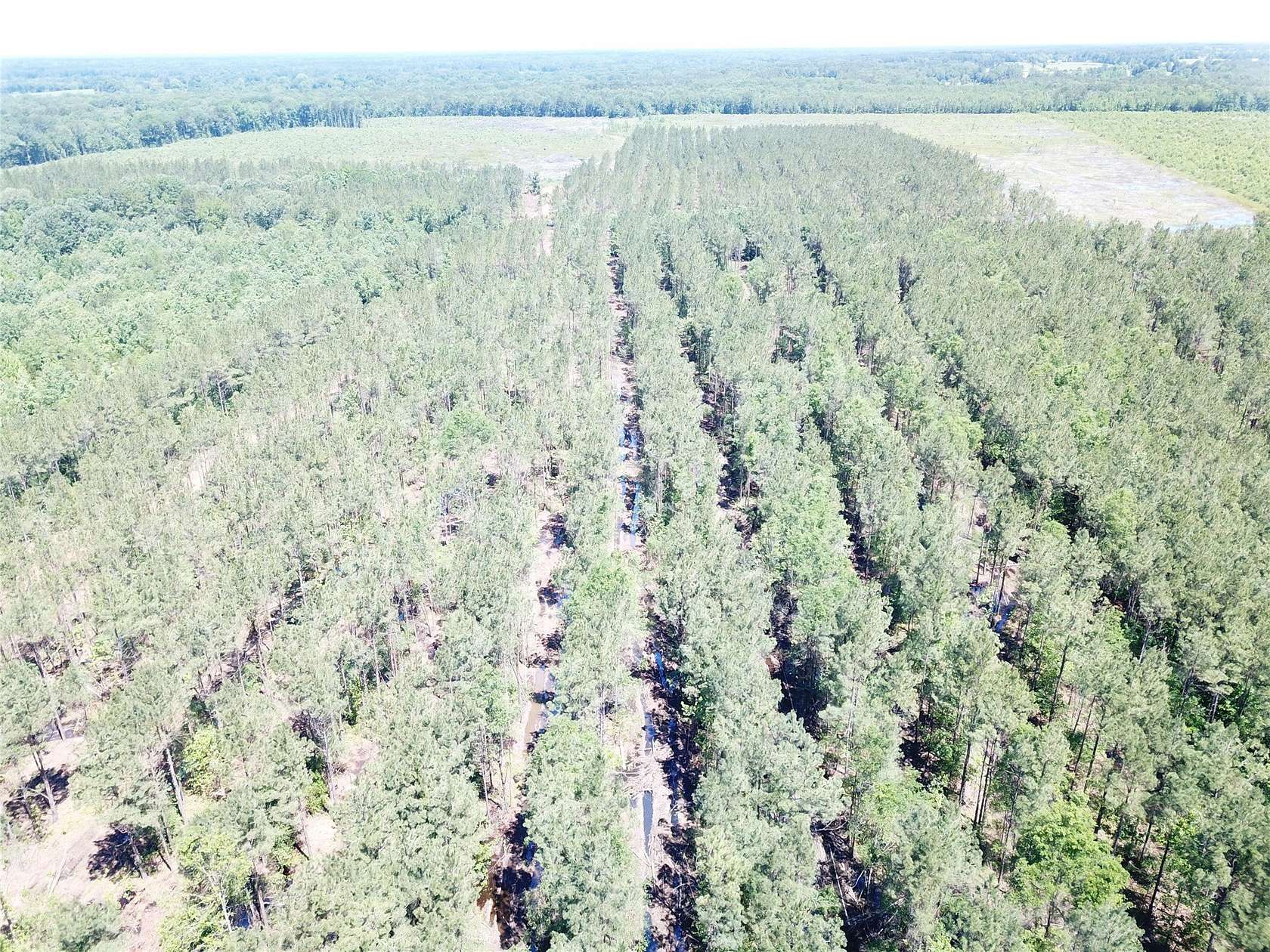 236 Acres of Recreational Land for Sale in Simms, Texas
