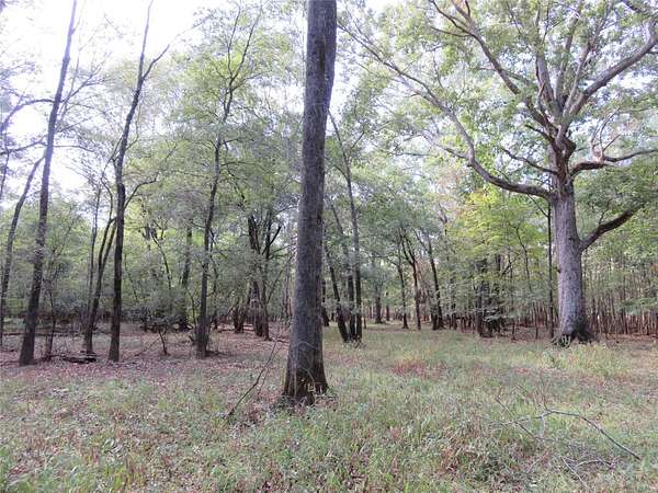 160 Acres of Recreational Land for Sale in Nacogdoches, Texas