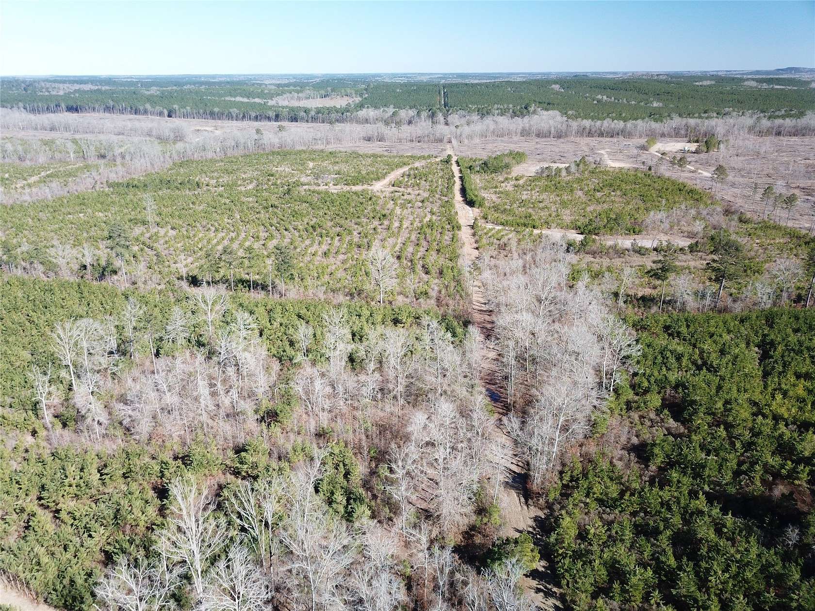 80 Acres of Recreational Land for Sale in Gibsland, Louisiana