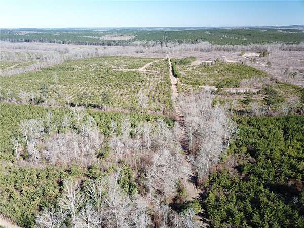 80 Acres of Recreational Land for Sale in Gibsland, Louisiana