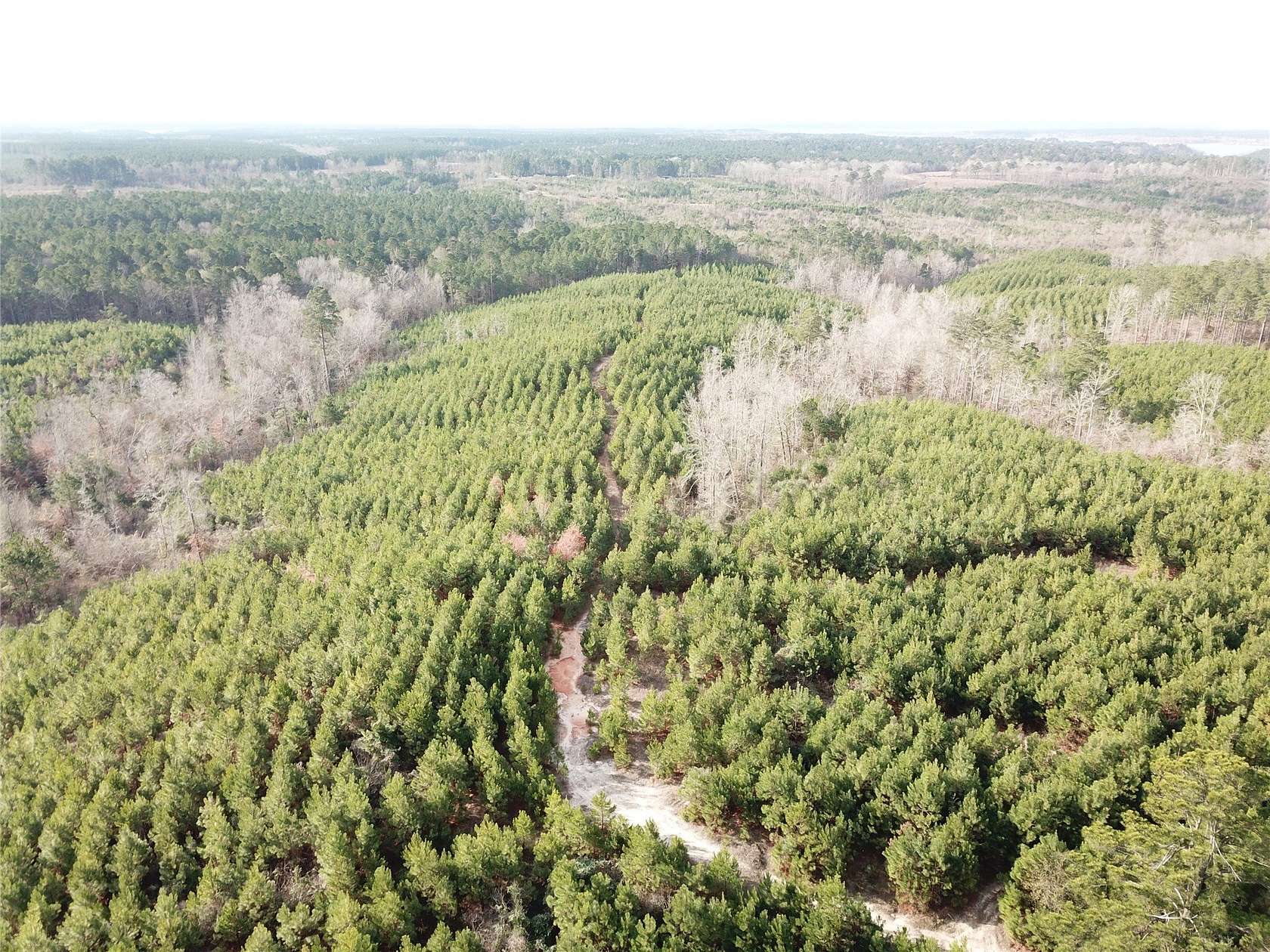 60 Acres of Recreational Land for Sale in Zwolle, Louisiana