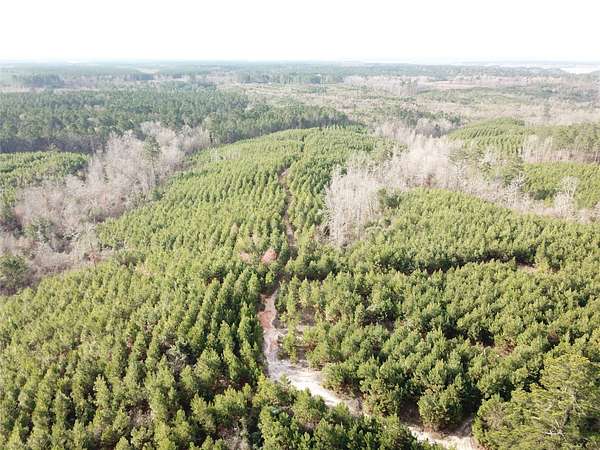 60 Acres of Recreational Land for Sale in Zwolle, Louisiana