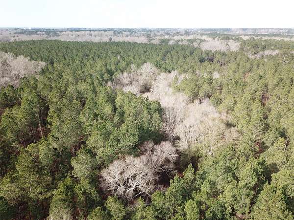 80 Acres of Recreational Land for Sale in Zwolle, Louisiana
