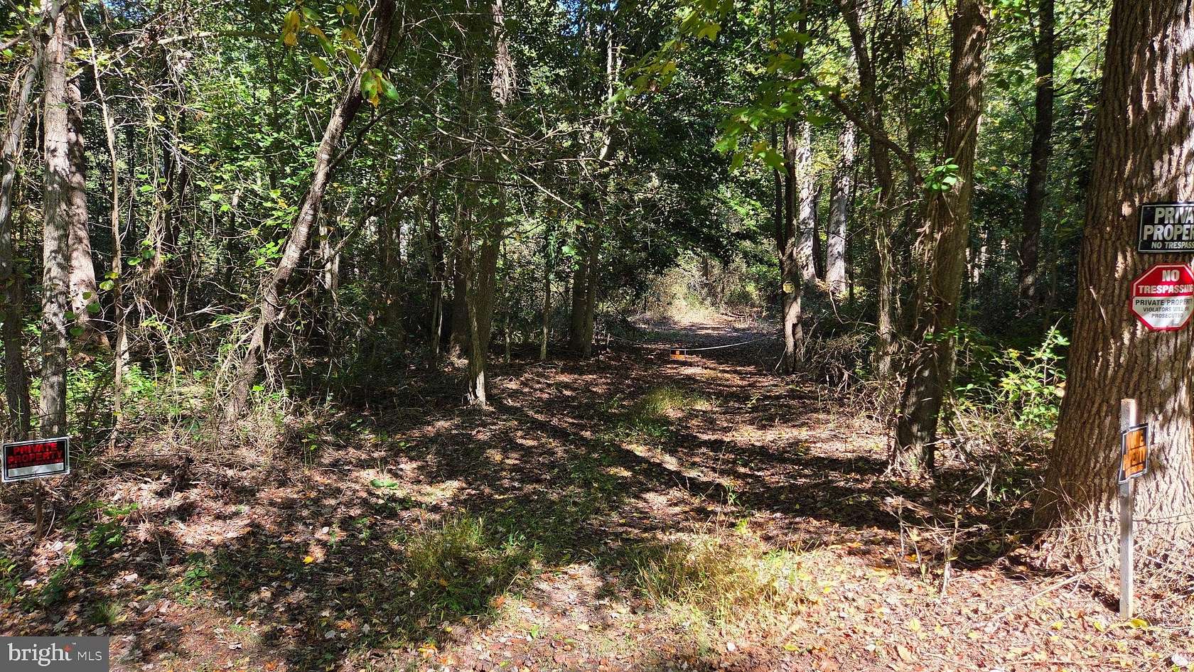 9.23 Acres of Residential Land for Sale in Marydel, Maryland