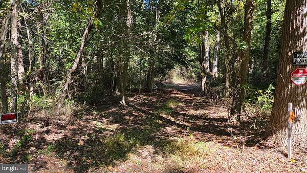 9.23 Acres of Residential Land for Sale in Marydel, Maryland