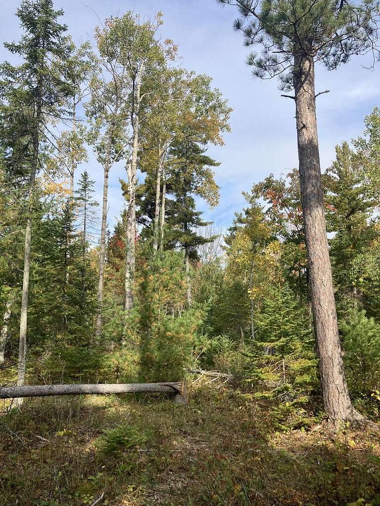8 Acres of Land for Sale in Ellison Bay, Wisconsin