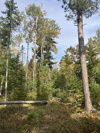 8 Acres of Land for Sale in Ellison Bay, Wisconsin