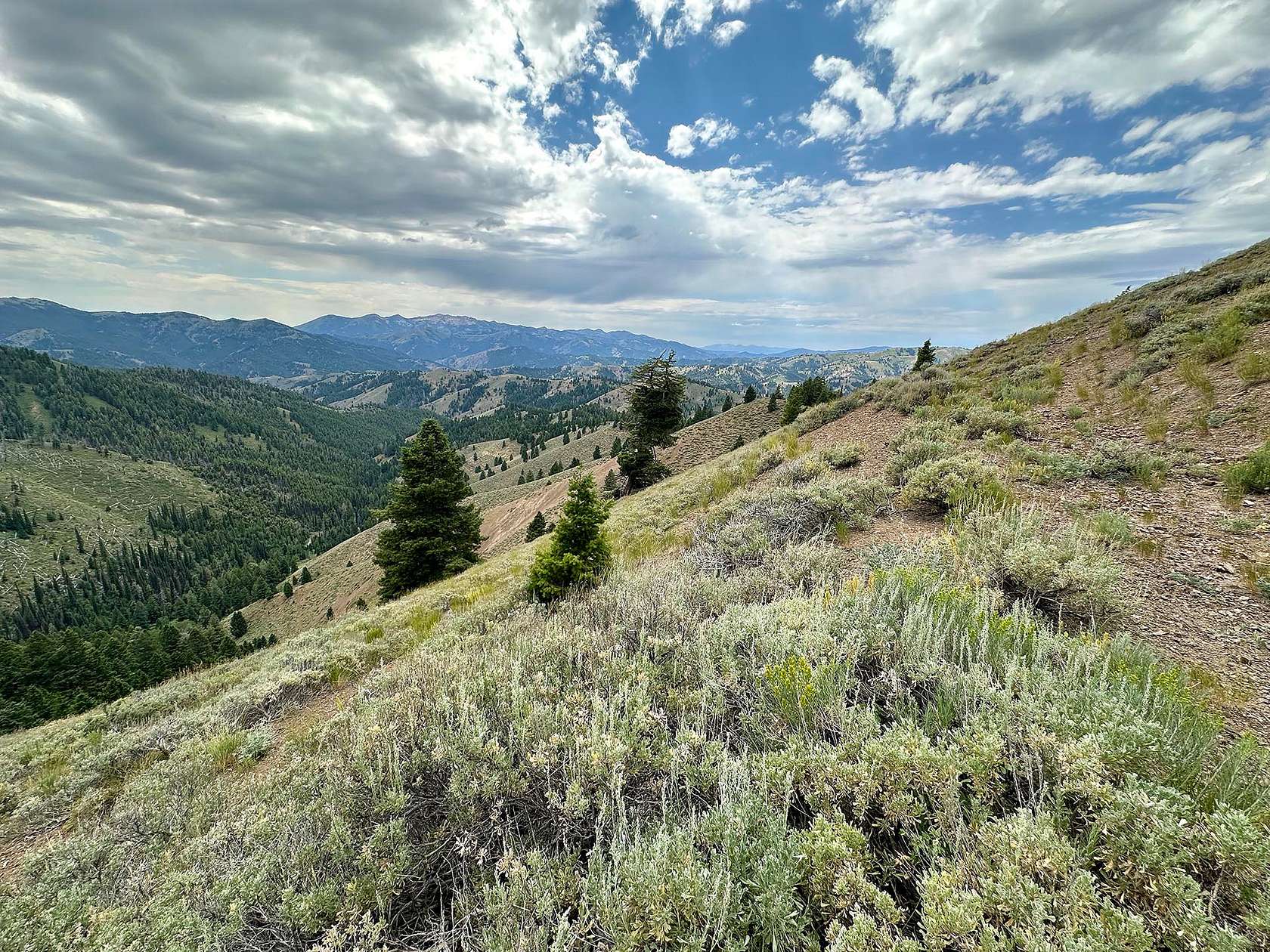 192 Acres of Recreational Land for Sale in Fairfield, Idaho