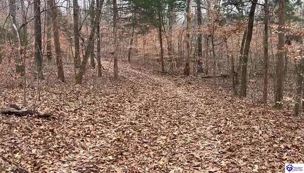11.7 Acres of Recreational Land for Sale in Campbellsville, Kentucky