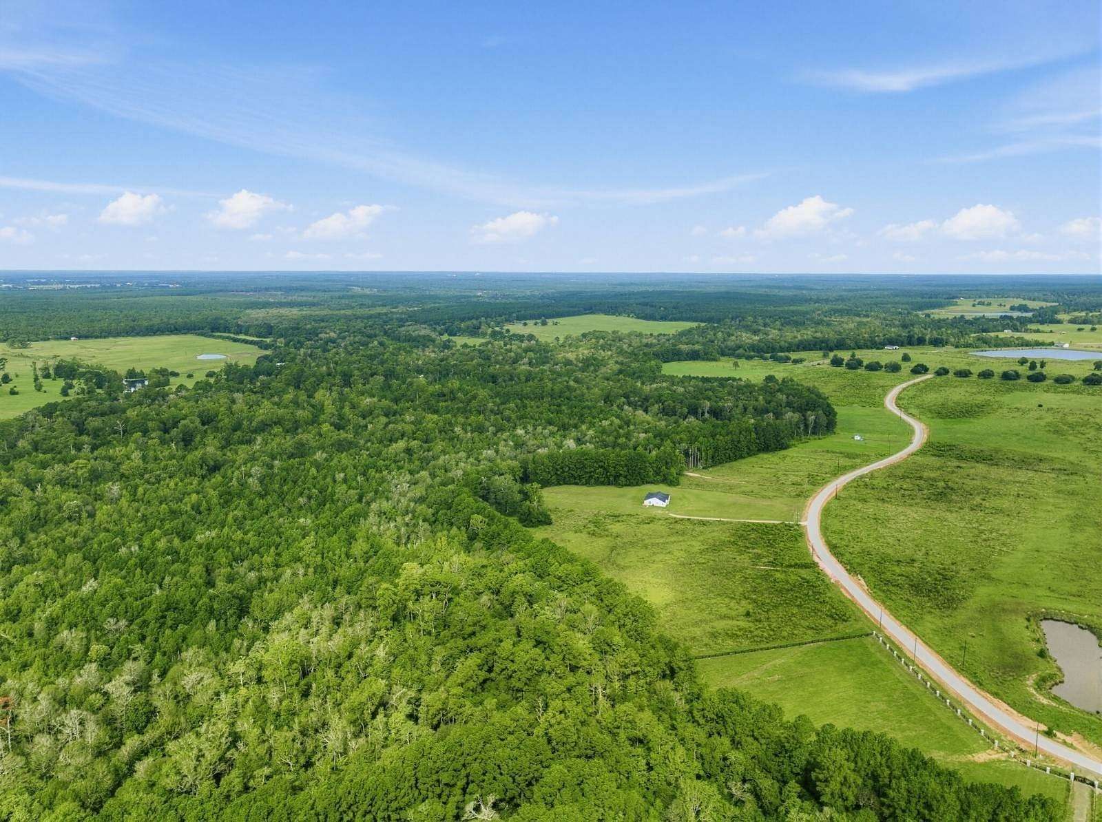 14.7 Acres of Land for Sale in Hillister, Texas