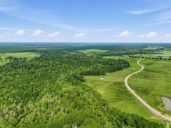 14.7 Acres of Land for Sale in Hillister, Texas