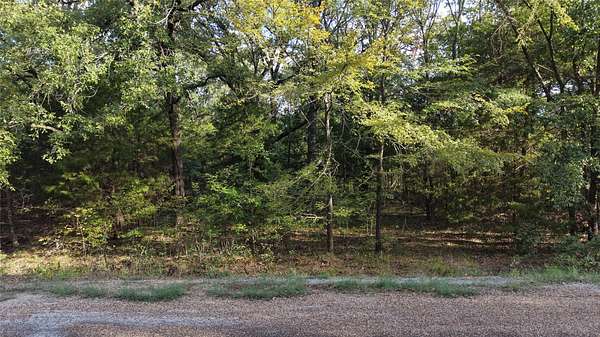 0.07 Acres of Residential Land for Sale in Mabank, Texas