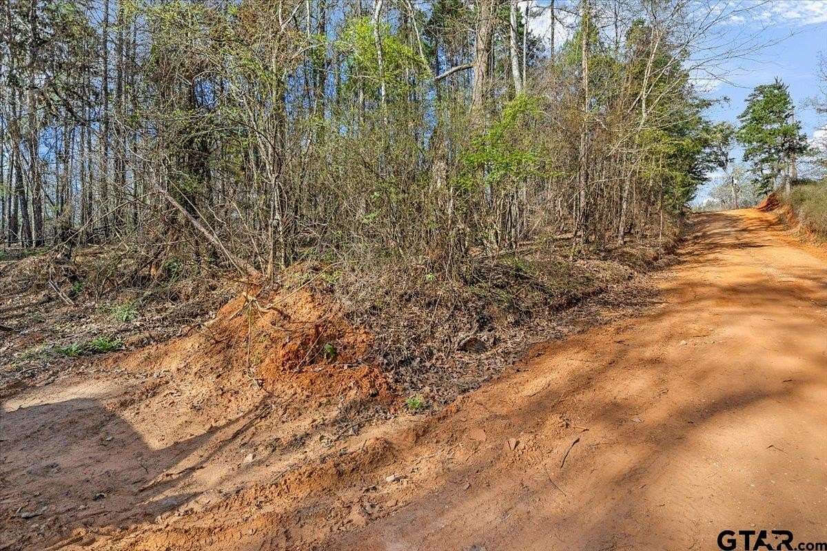 0.97 Acres of Residential Land for Sale in Tyler, Texas