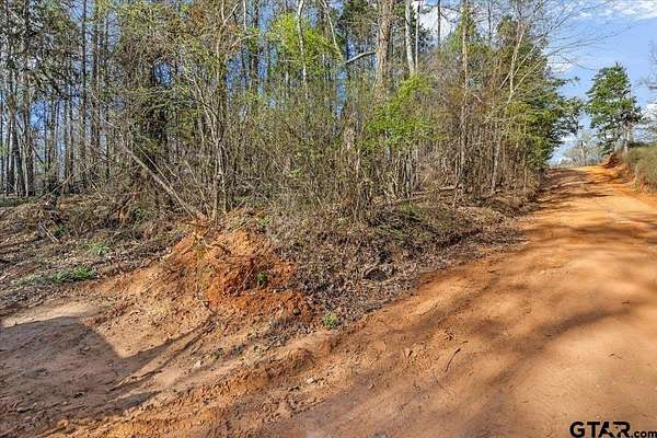 0.97 Acres of Residential Land for Sale in Tyler, Texas