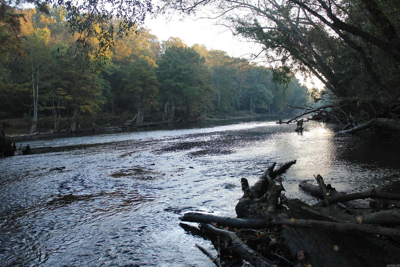 68.3 Acres of Recreational & Residential Land for Sale in Pangburn, Arkansas