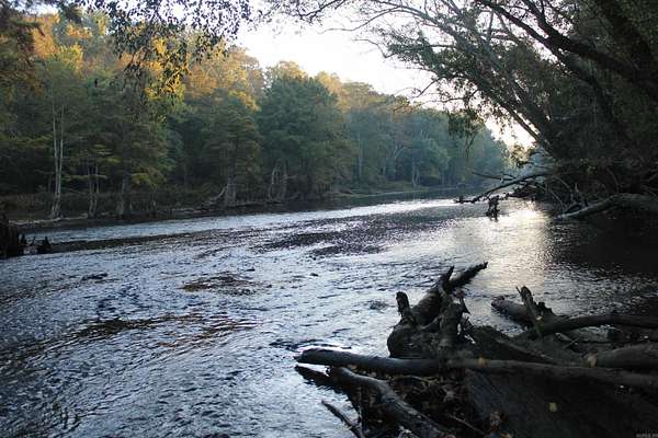 68.3 Acres of Recreational & Residential Land for Sale in Pangburn, Arkansas