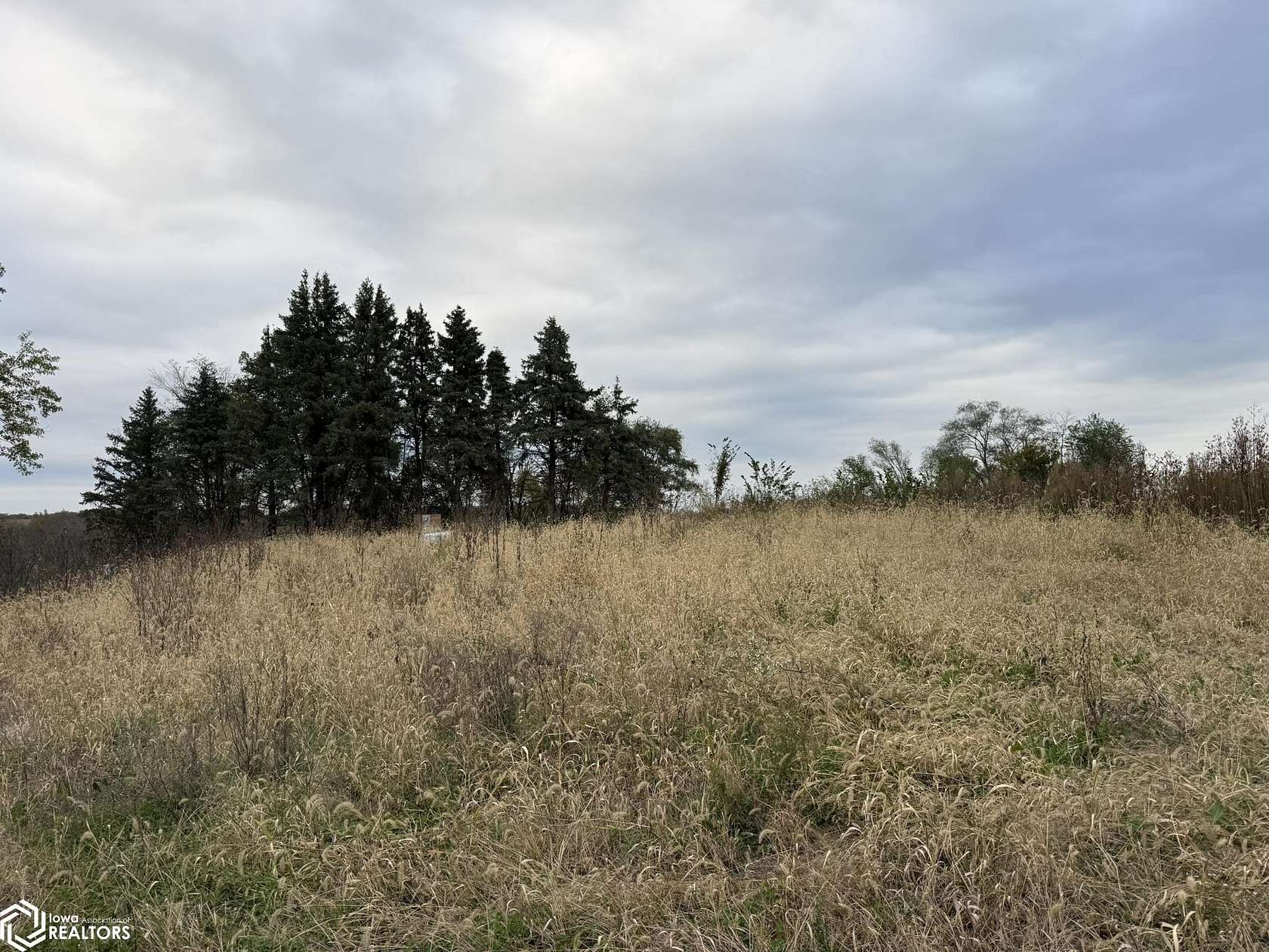 8.9 Acres of Land for Sale in Osceola, Iowa