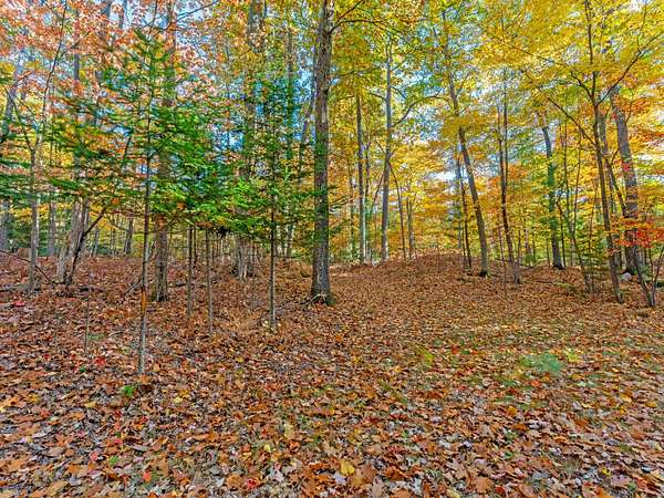 0.88 Acres of Residential Land for Sale in Lake Tomahawk, Wisconsin
