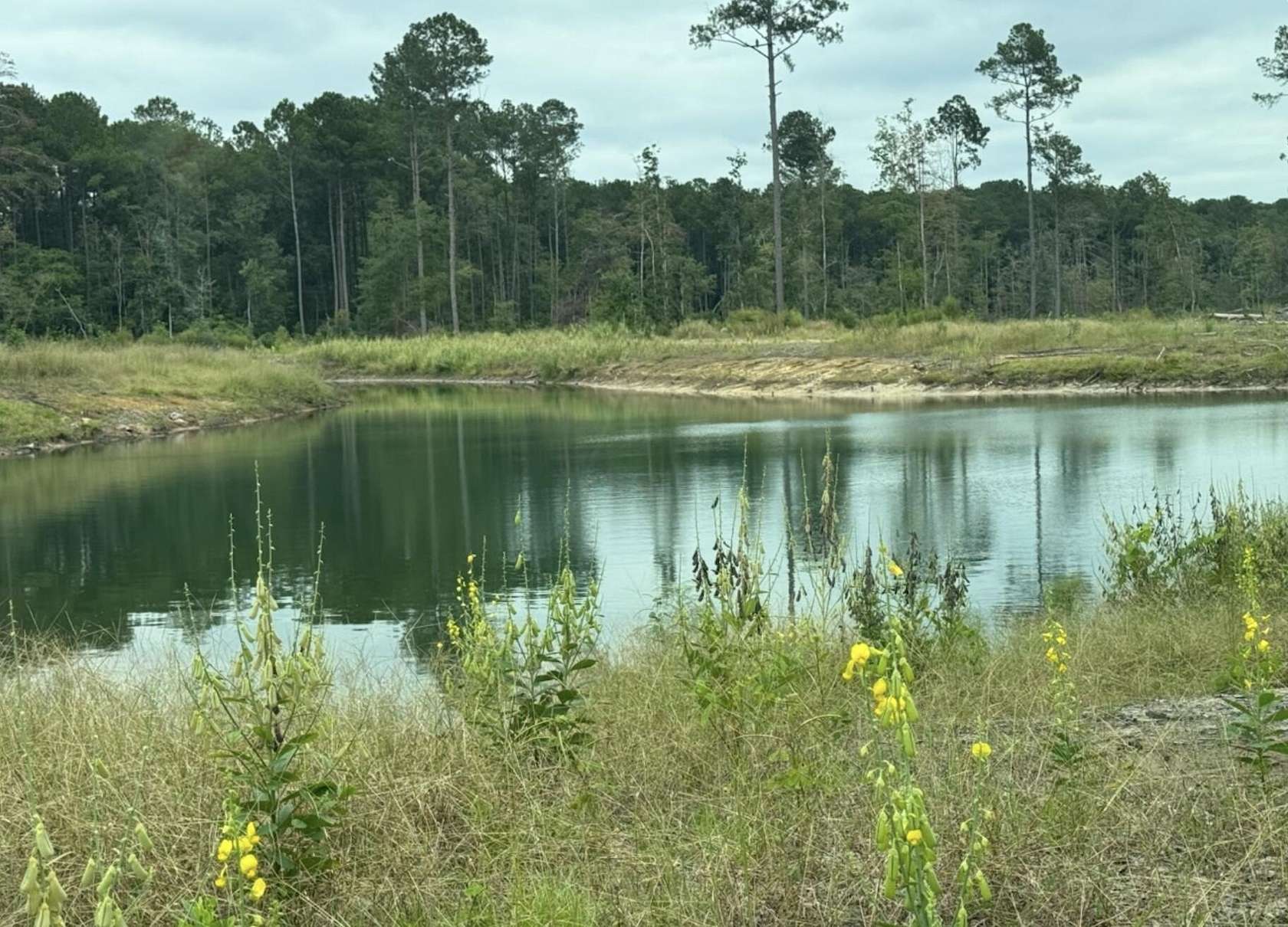 5.47 Acres of Land for Sale in Dorchester, South Carolina