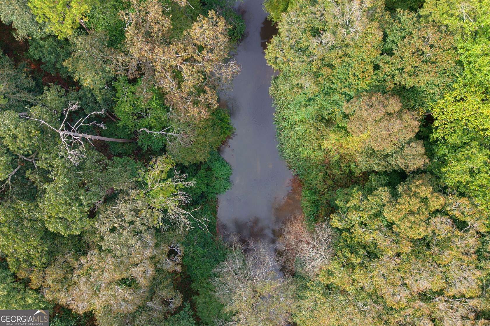 52.5 Acres of Land for Sale in Royston, Georgia