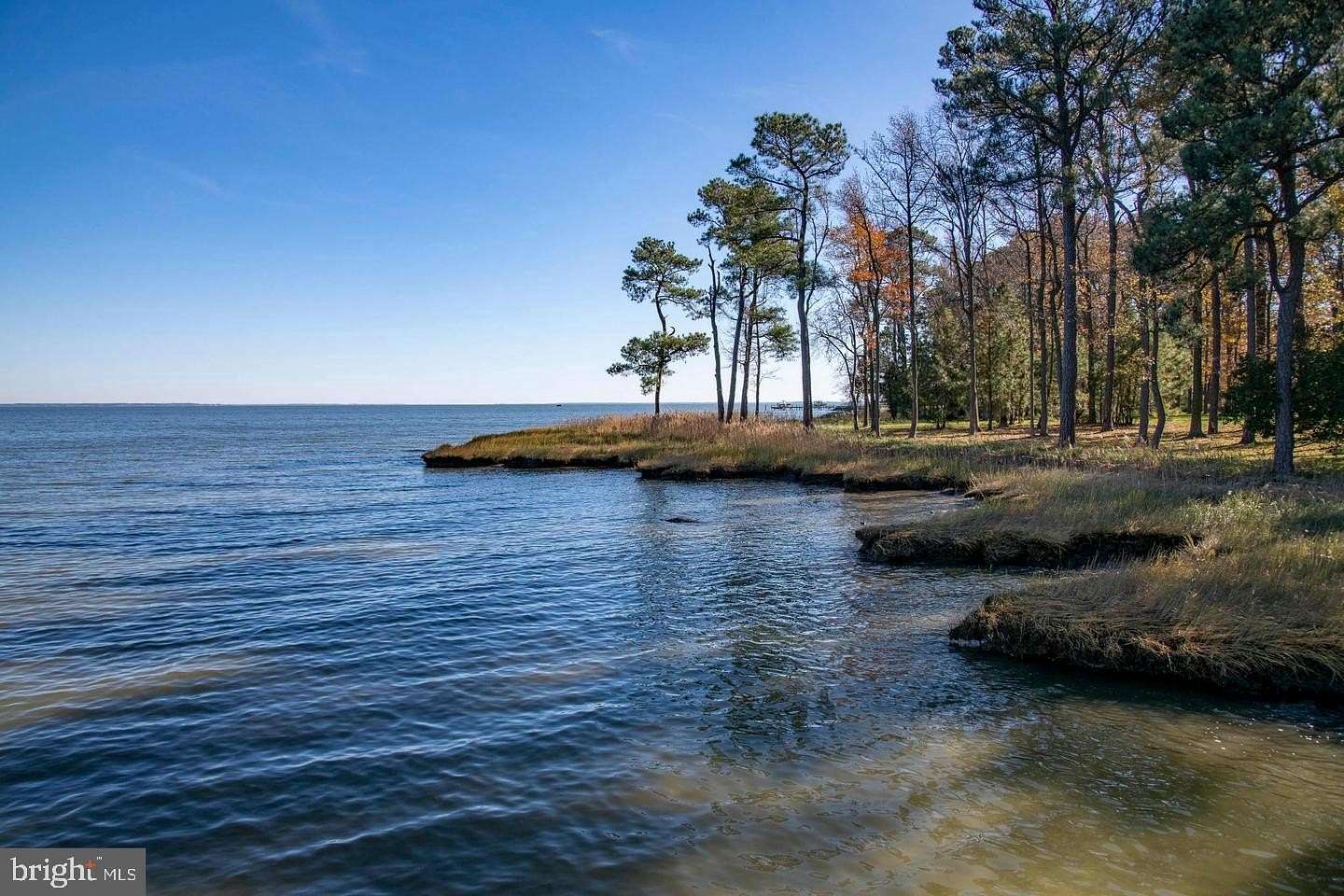 4 Acres of Land for Sale in Tilghman, Maryland