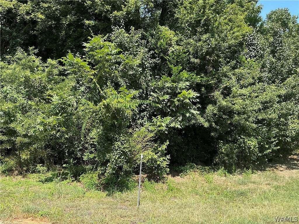0.36 Acres of Land for Sale in Tuscaloosa, Alabama