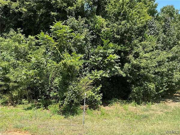 0.36 Acres of Land for Sale in Tuscaloosa, Alabama