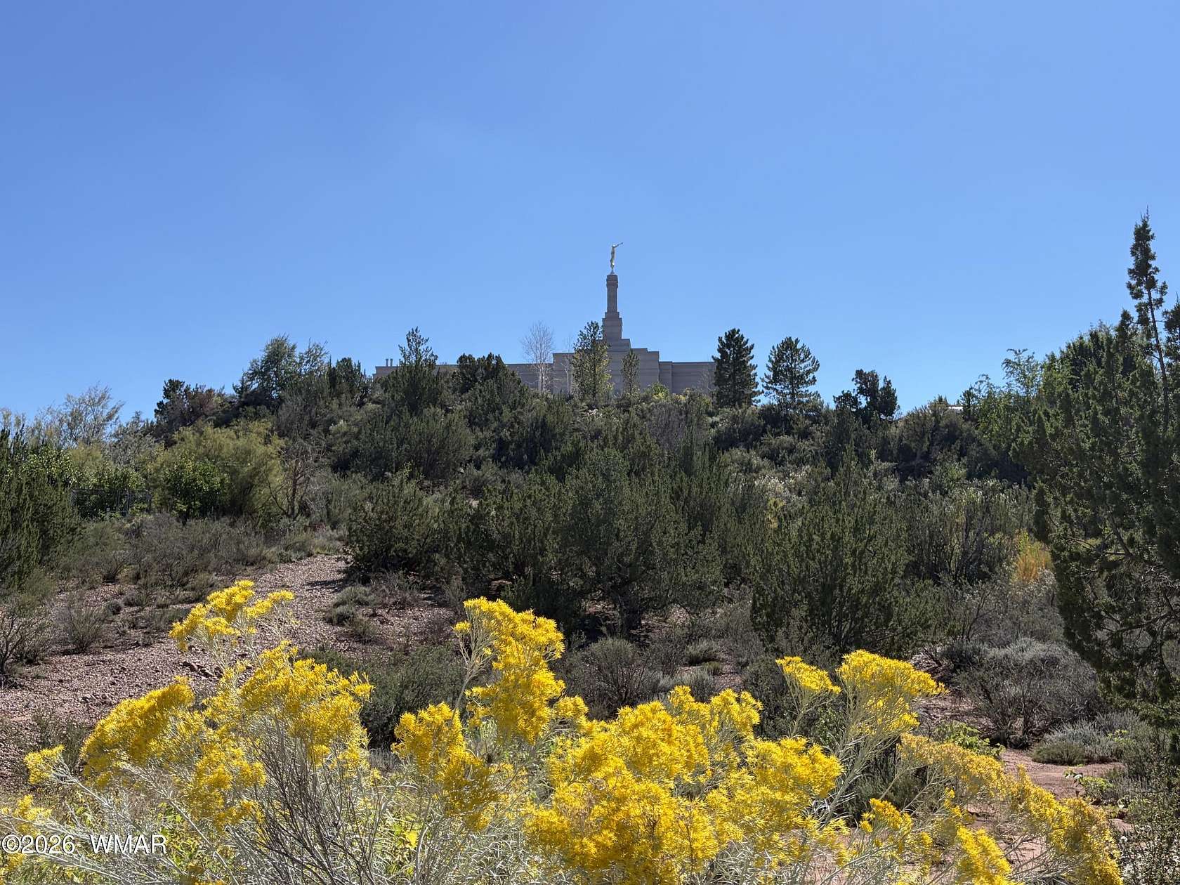 0.51 Acres of Residential Land for Sale in Snowflake, Arizona