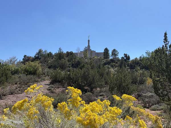 0.51 Acres of Residential Land for Sale in Snowflake, Arizona