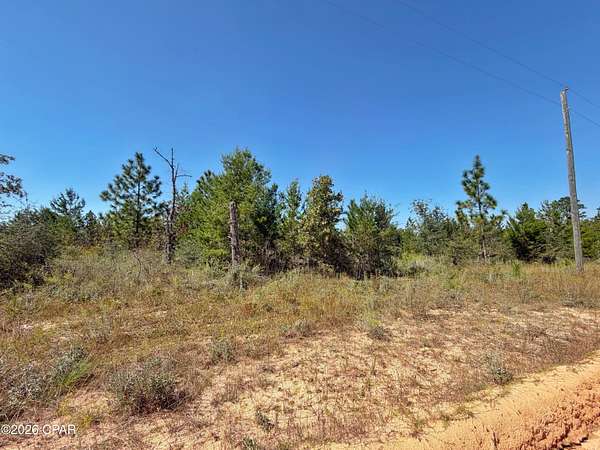 9.72 Acres of Residential Land for Sale in Marianna, Florida