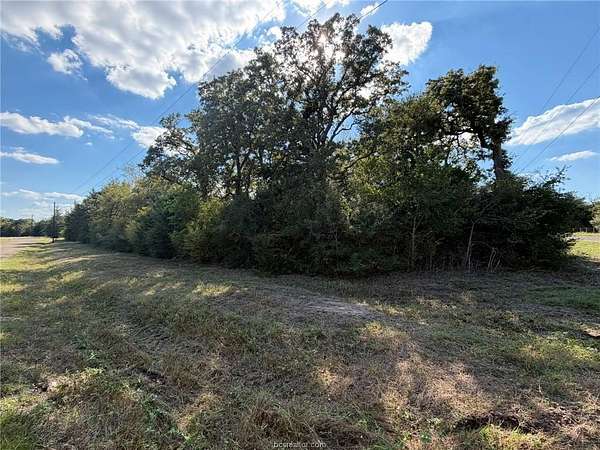 10 Acres of Residential Land for Sale in Iola, Texas