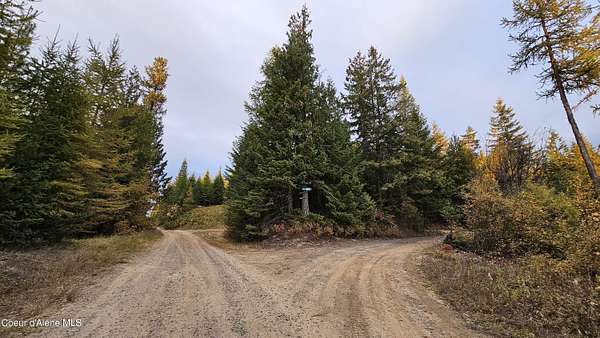 5.4 Acres of Land for Sale in Fernwood, Idaho