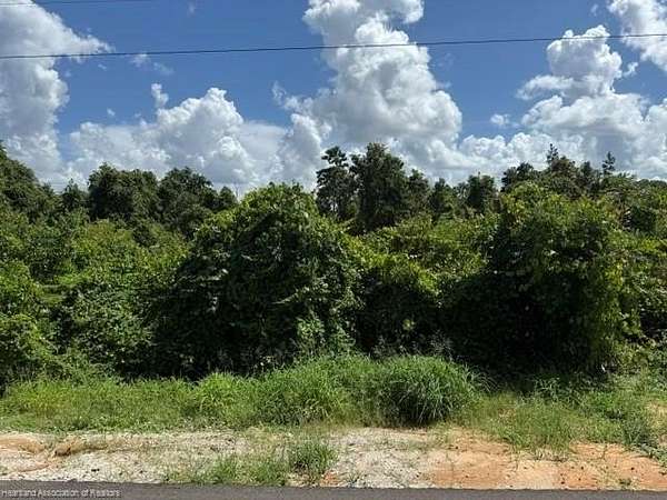 0.26 Acres of Residential Land for Sale in Lake Placid, Florida