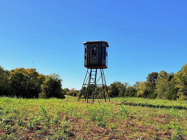 118 Acres of Recreational Land for Auction in Columbia, Kentucky