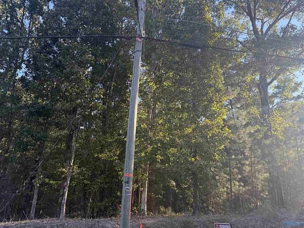 0.63 Acres of Residential Land for Sale in Southside, Alabama