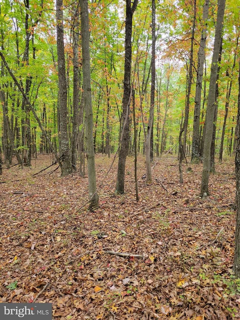2.53 Acres of Residential Land for Sale in Delray, West Virginia